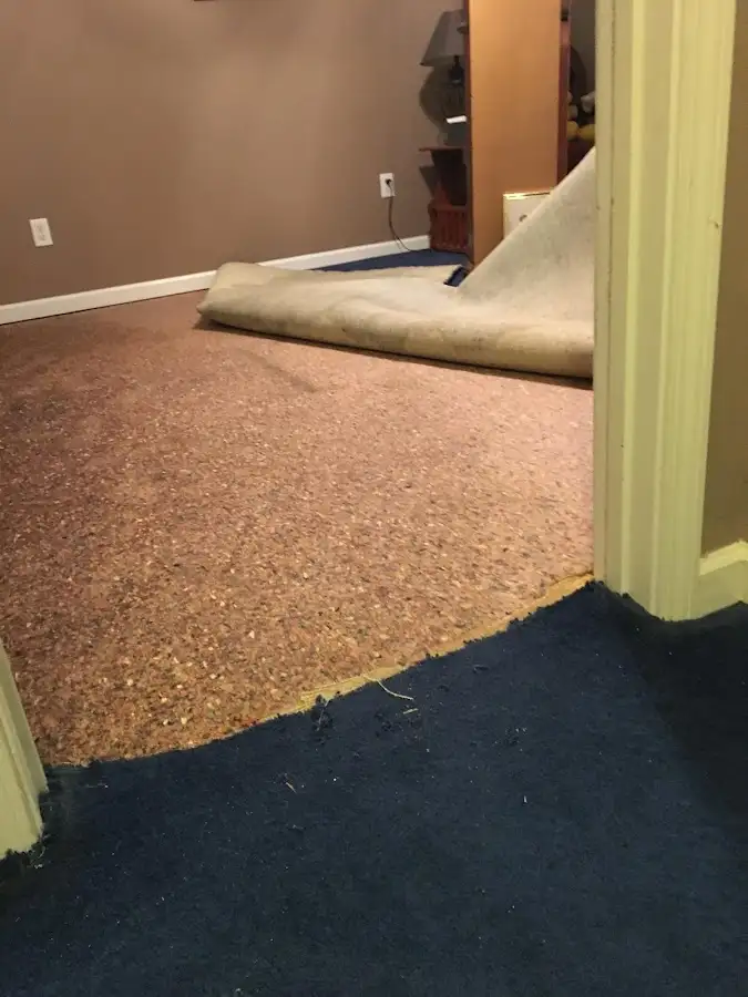 Carpet pad removal revealing water damage during Drying & Dehumidification in Ladue