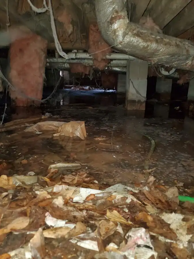 Crawl space flood assessment for Leak Detection & Repair in Ladue