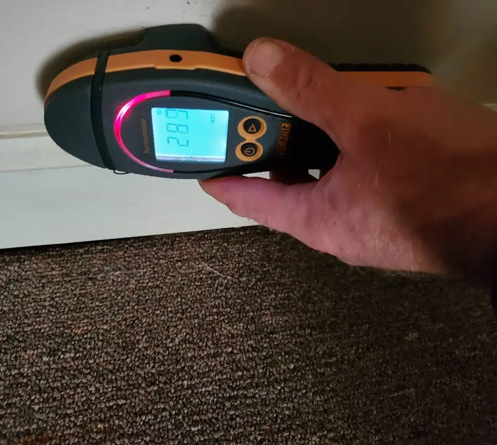 Moisture detection at baseboard during Sewage Cleanup & Sanitation in Ladue